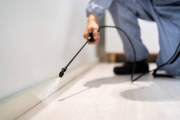 Licensed Fumigation Services service in Superior, AZ - Nex Pest Control